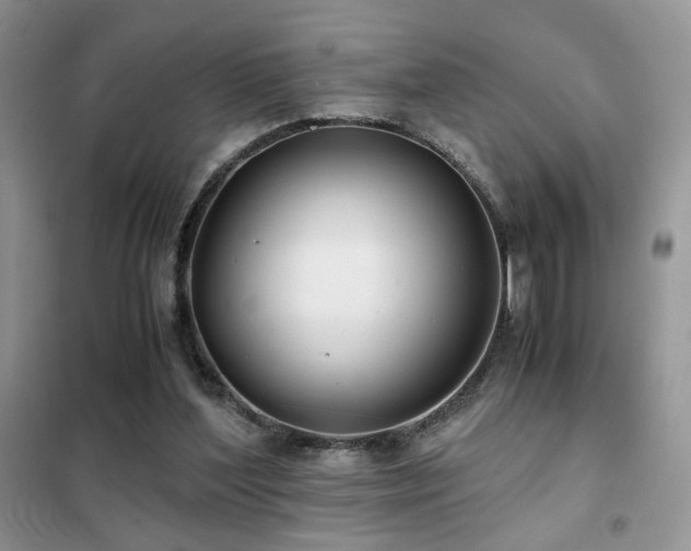 X0000102340204200808011148