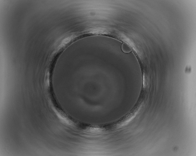 X0000102340205200808011148