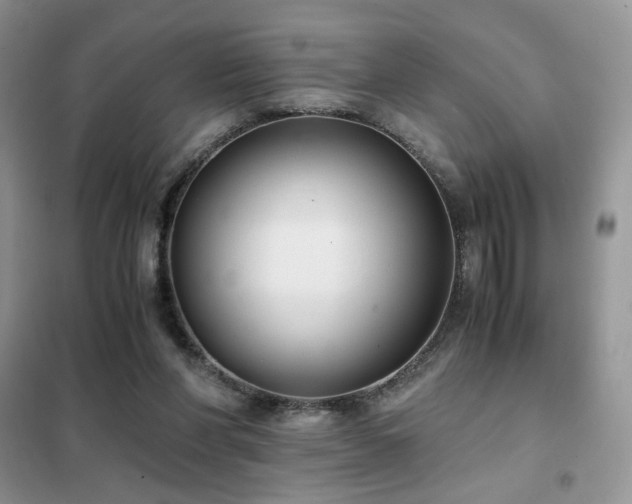 X0000102340206200808011148