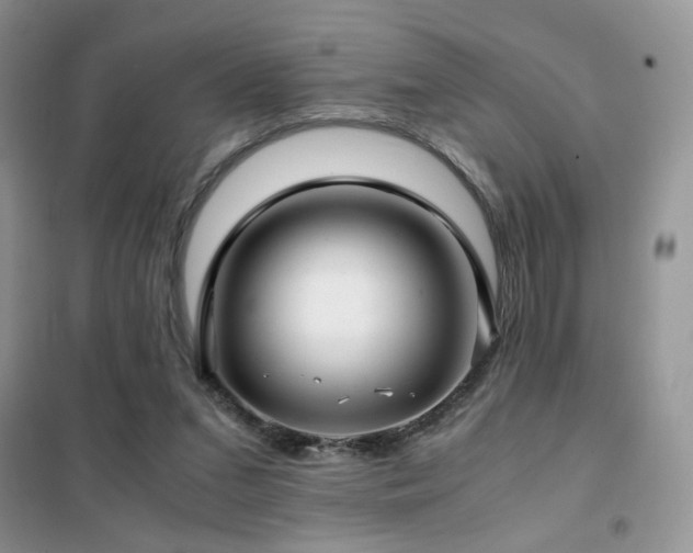 X0000102340207200808011148