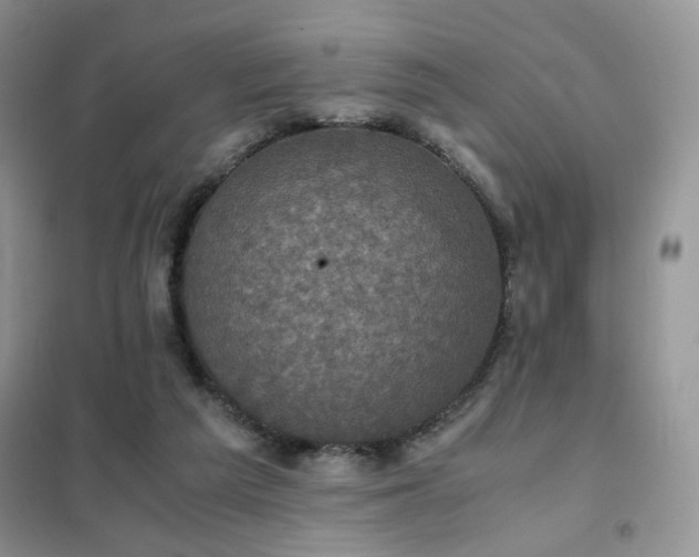 X0000102340209200808011148