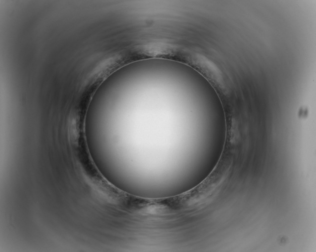 X0000102340210200808011148