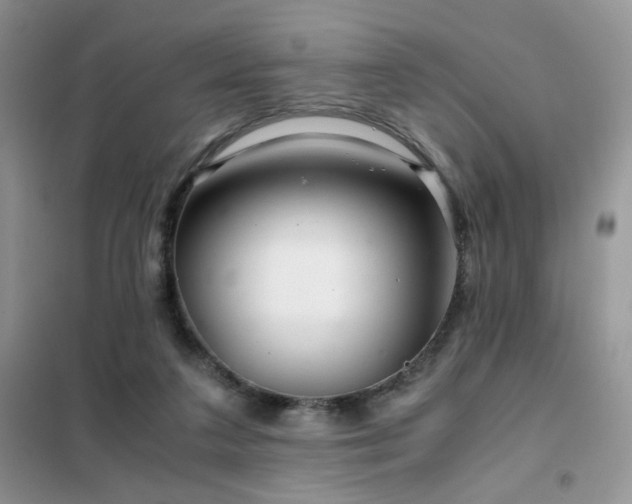 X0000102340211200808011148