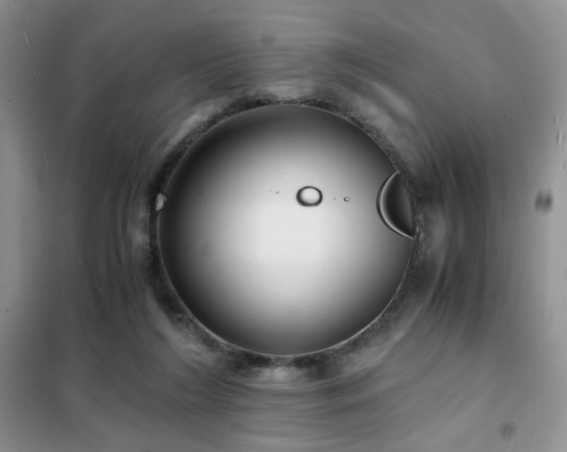 X0000102340212200808011148