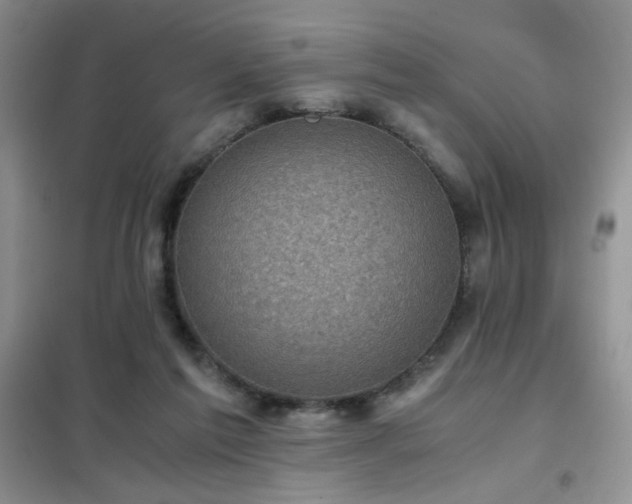 X0000102340213200808011148