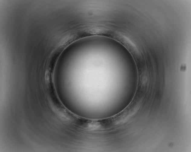 X0000102340214200808011148