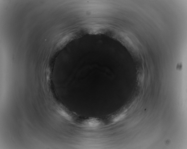 X0000102340219200808011148