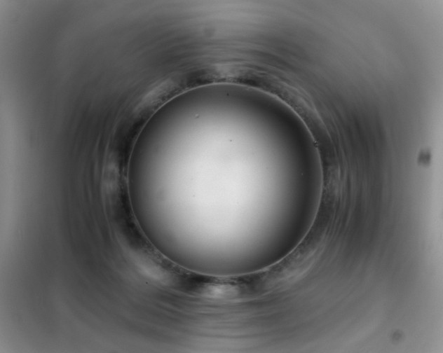 X0000102340220200808011148