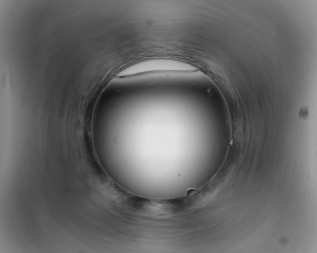 X0000102340221200808011148