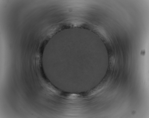 X0000102340222200808011148