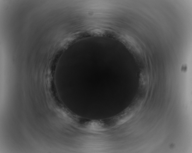 X0000102340223200808011148