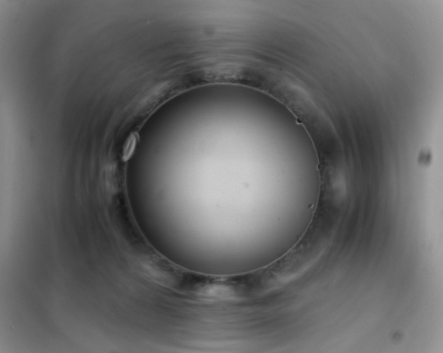 X0000102340224200808011148