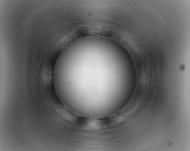 X0000102340226200808011148