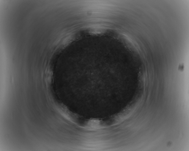 X0000102340227200808011148