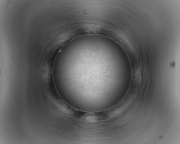 X0000102340228200808011148