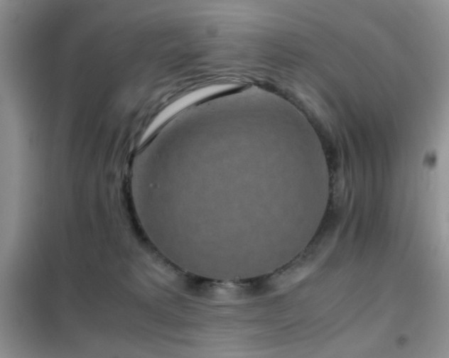 X0000102340229200808011148