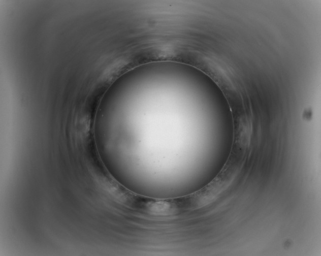 X0000102340230200808011148