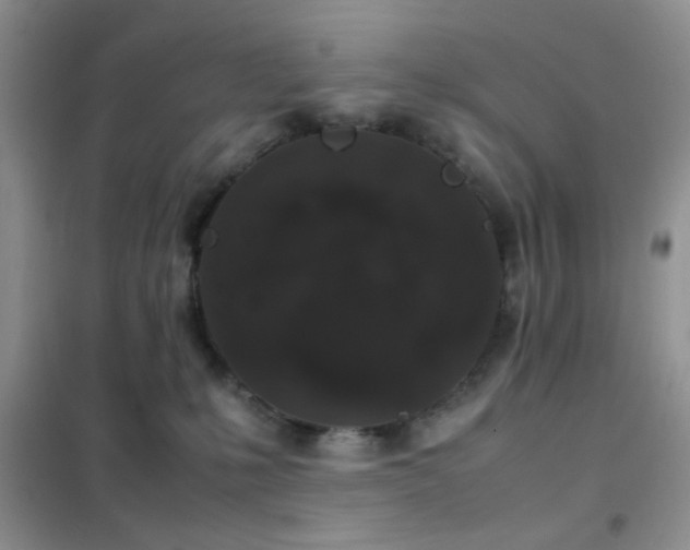 X0000102340231200808011148