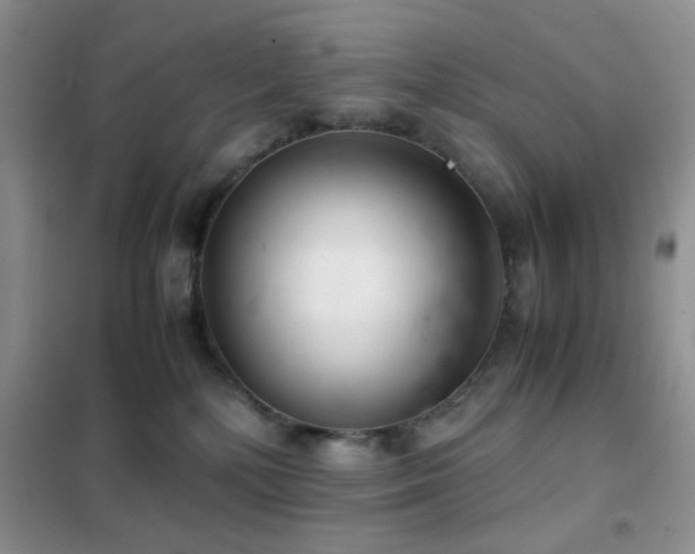 X0000102340232200808011148