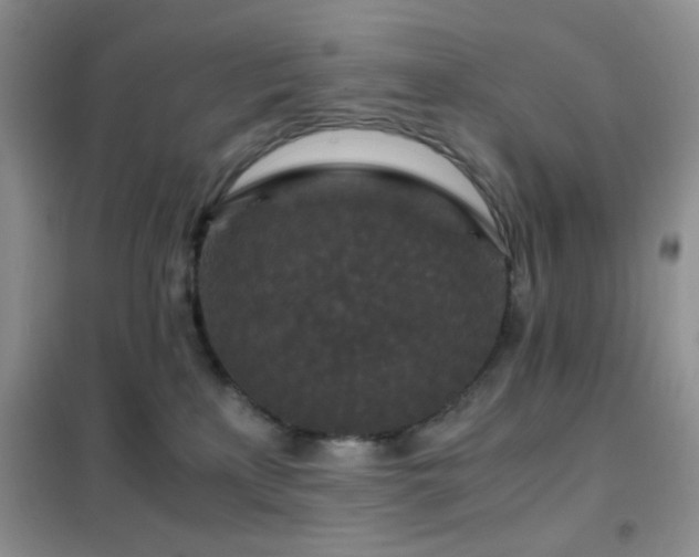 X0000102340233200808011148