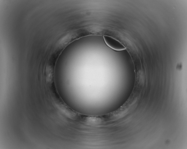 X0000102340234200808011148