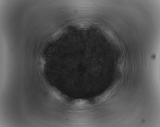 X0000102340235200808011148