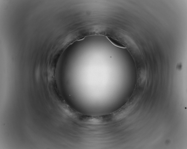 X0000102340236200808011148