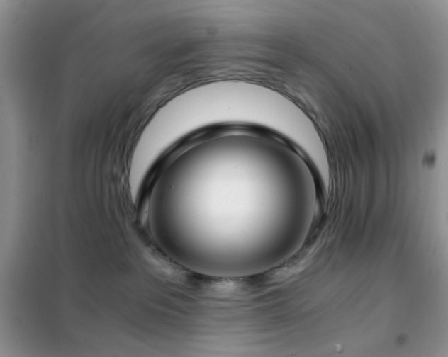 X0000102340237200808011148