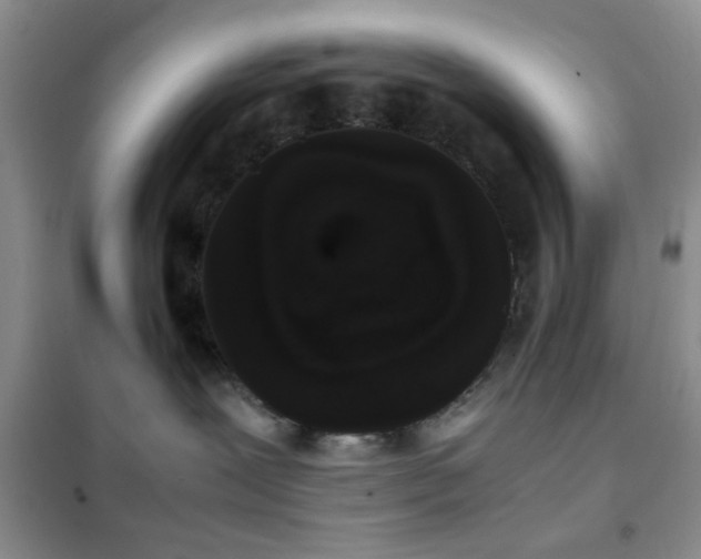 X0000102340239200808011148