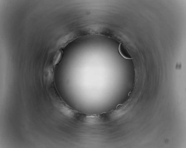 X0000102340240200808011148