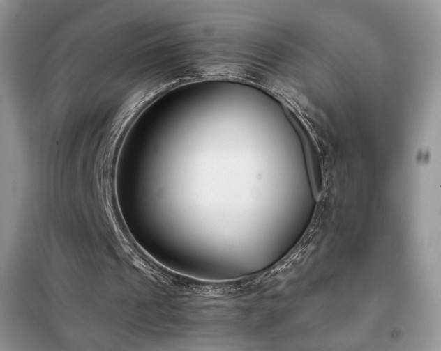 X0000102340241200808011147