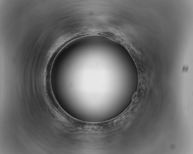 X0000102340242200808011147