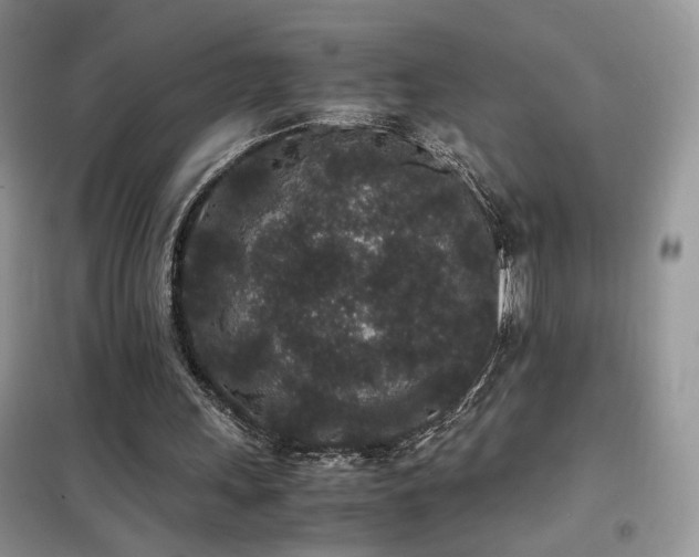 X0000102340243200808011147