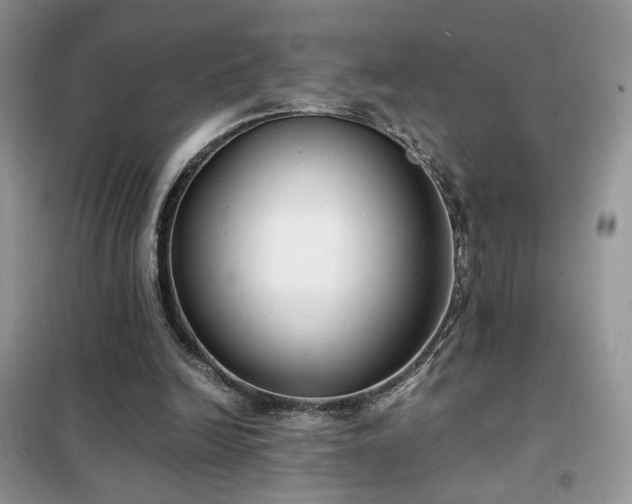 X0000102340246200808011147