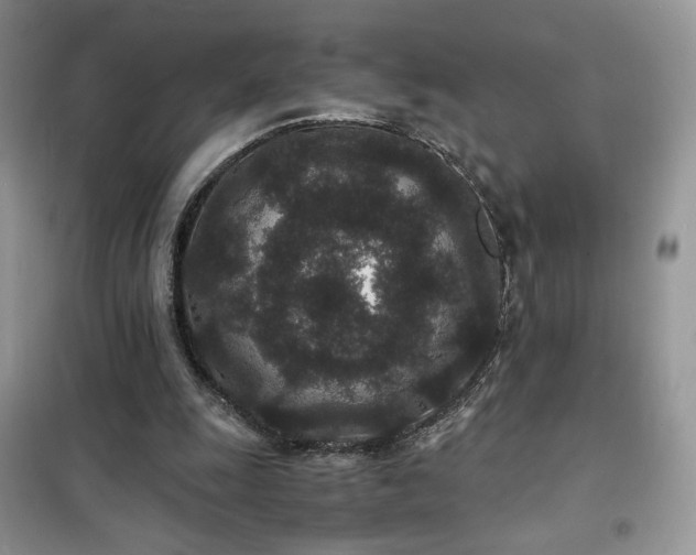 X0000102340247200808011147