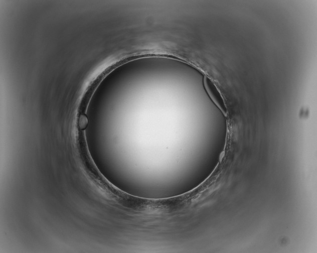 X0000102340248200808011147