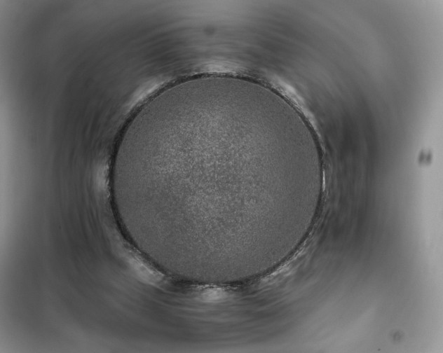 X0000102340249200808011147