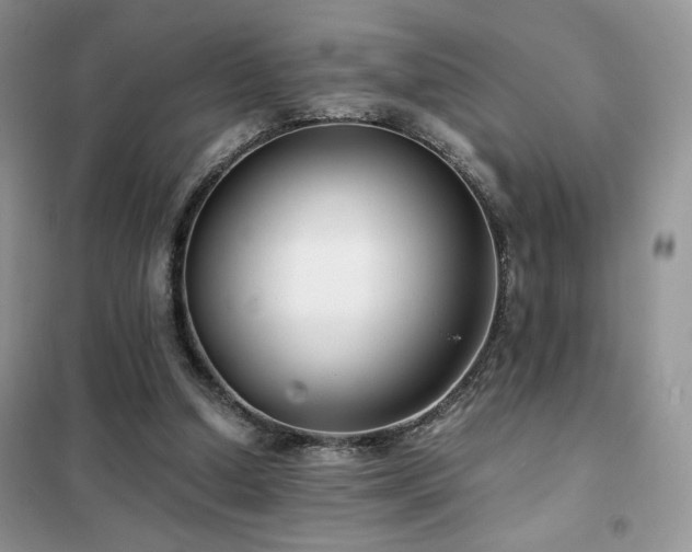 X0000102340250200808011147