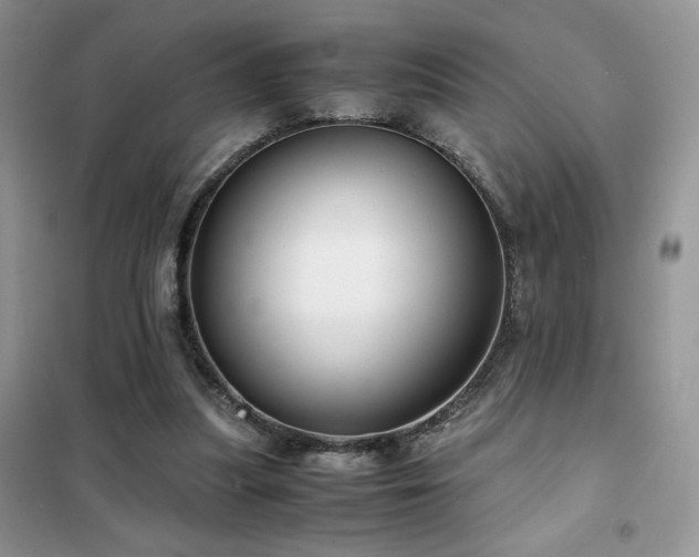 X0000102340251200808011147