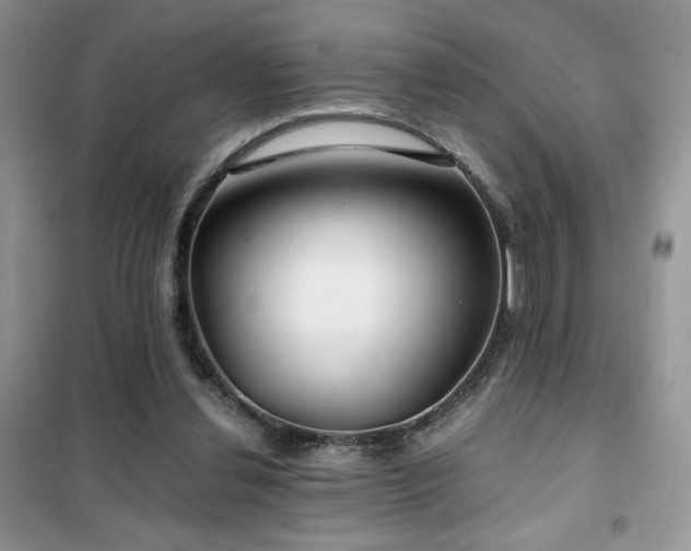 X0000102340252200808011147