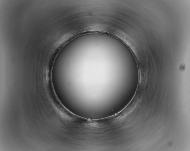 X0000102340253200808011147