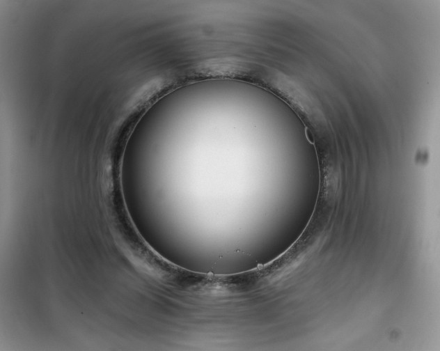 X0000102340254200808011147