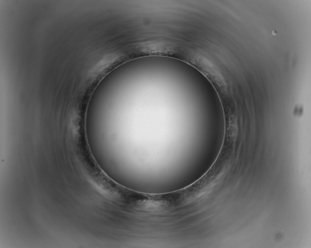 X0000102340255200808011147