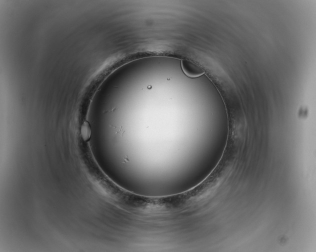 X0000102340256200808011147