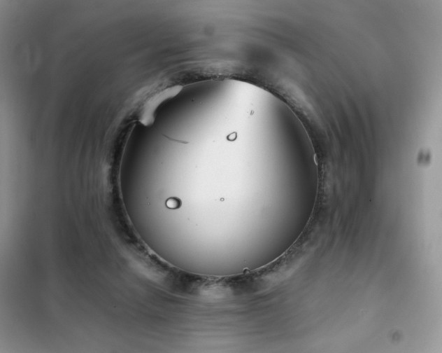 X0000102340258200808011147