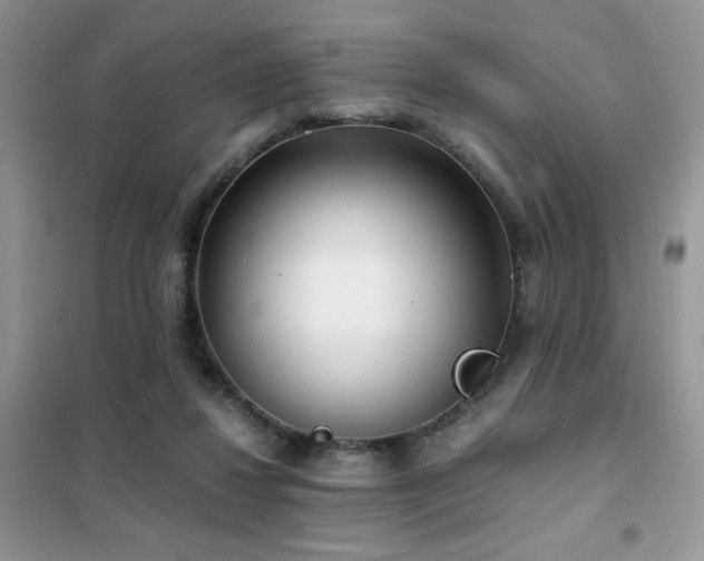 X0000102340260200808011147