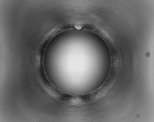 X0000102340262200808011147