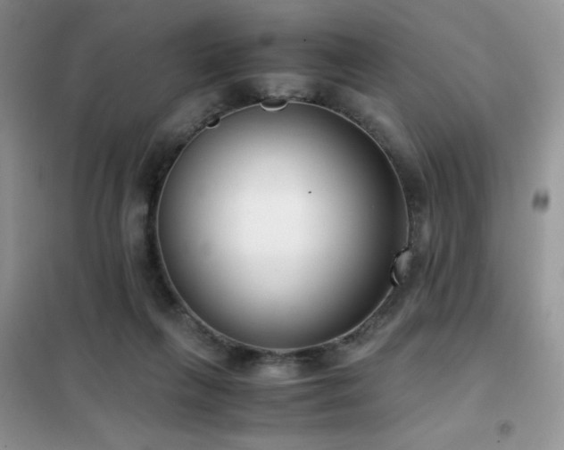 X0000102340263200808011147