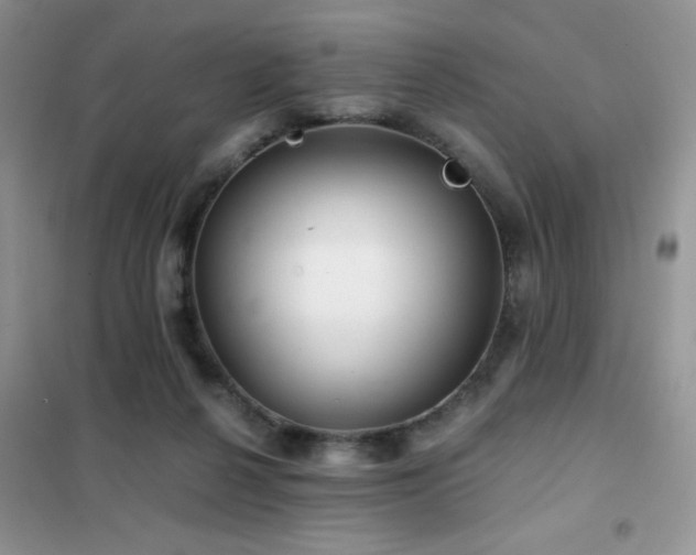 X0000102340264200808011147