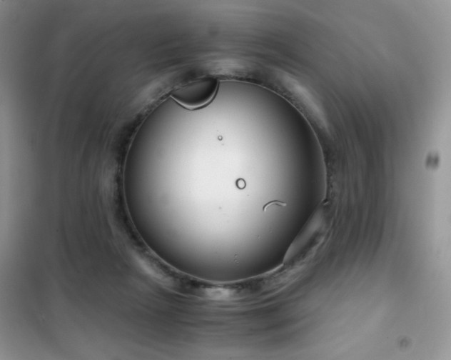 X0000102340265200808011147